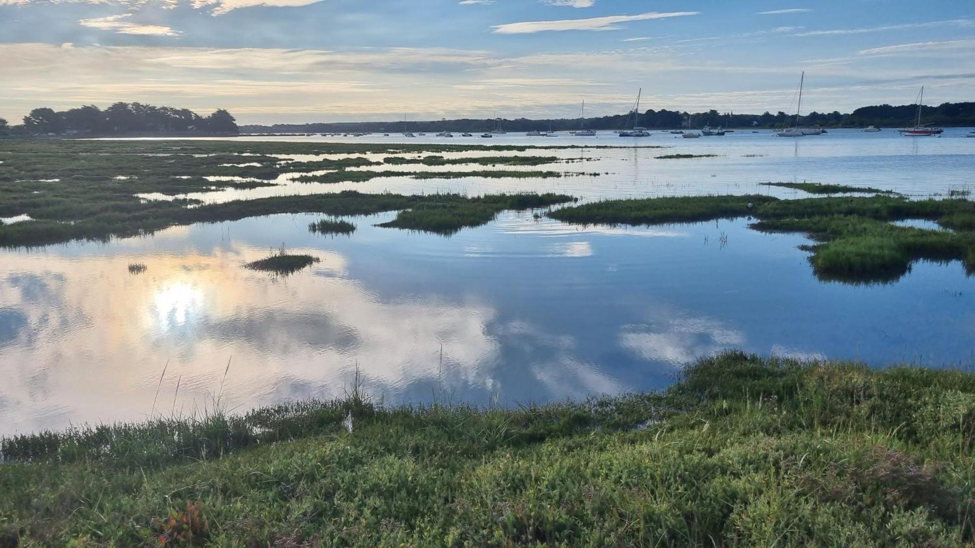Maison Golfe Du Morbihan - Vue Mer - Plage A 600M - 6 Chambres Séné Exteriér fotografie
